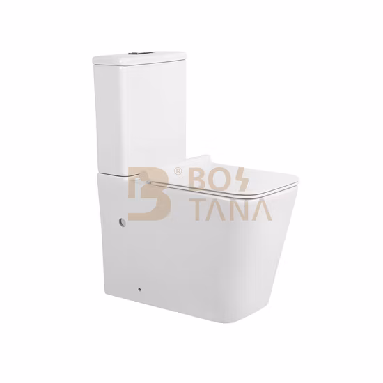 Zweiteilige Sanitärkeramik mit P-Siphon im europäischen Design